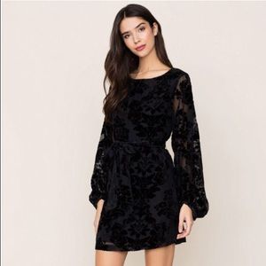 NWT Yumi Kim Bellflower Velvet Dress S